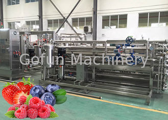 Berry Paste Pulp Industrial Pasteurizer Turnkey Processing Line Easy Clean
