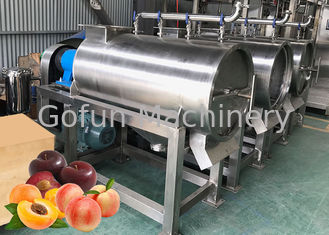 SS 304 Fruit Processing Line Peach Processing Plant Juice Puree Dried