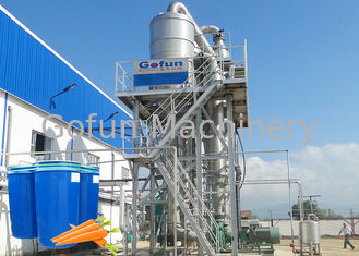 Professional Carrot Processing Plant  / Fruit And Vegetable Processing Equipment