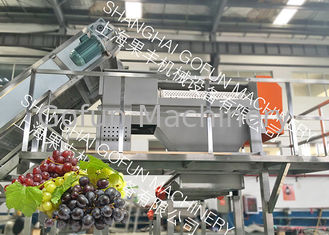 20 T/H Stable Grape Juice Processing Line Extractor Vacuum Pressing System