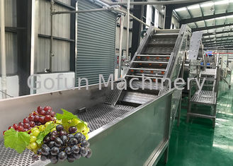Water Saving Fruit Juice Processing Equipment Fresh Grape Washing Machine Environment Friendly