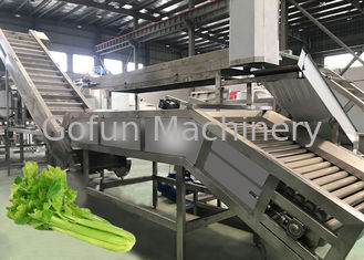 Large Scale Vegetable Juicer Machine High Capacity Juice Concentration 220V Voltage