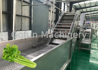 Stable Celery Food Processing Equipment Carrot Processing Line Food Grade ISO9001