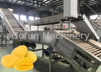 SUS304 Mango Processing Equipment Energy Saving Safety Control For Operators