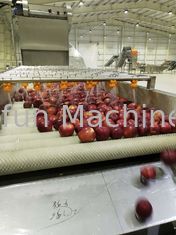 380V 50Hz Apple Jam / Juice Production Line 2t/H Water Saving