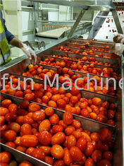 800g/Tin Concentrated Tomato Processing Line Can Package