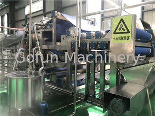 15T/Day SS304 Concentrated Pineapple Juice Production Line