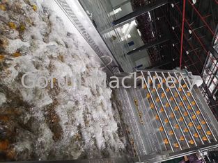 PLC Control 220V 3T/Day Grape Juice Processing Line