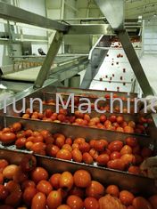 Food Grade 304SUS Tomato Production Line Customized 100T/D