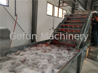 SS306 Complete Tomato Production Line 500kw Paste Concentration