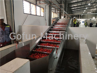 2000T/D Tomato Concentrated Vegetable Processing Line SS304