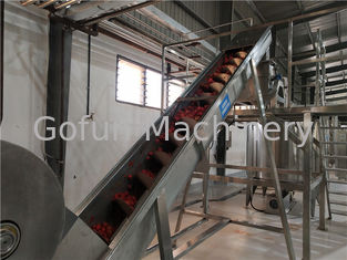 SS304 500T/D Tomato Ketchup Processing Line Aseptic Bags Packaging