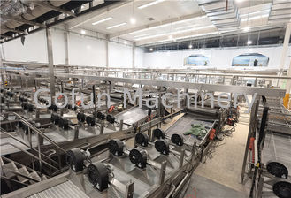 Double Concentrate Berry Fruit Tomato Processing Line
