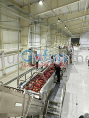 3T/H Apple Processing Line For Juice Complete Plant Preheating