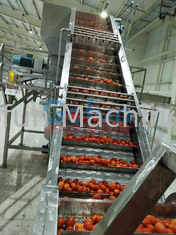 25T/H Tomato Ketchup Production Line Food Grade Aseptic Filling