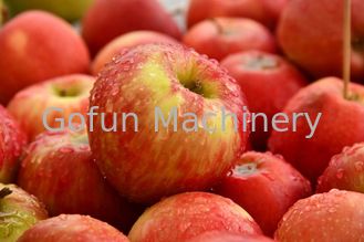 Ss304 Apple Processing Line Automatic Fruit Chips Making Machine 380V