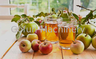 SS316 Concentrate Apple Juice Processing Plant 25t/H For Beverage