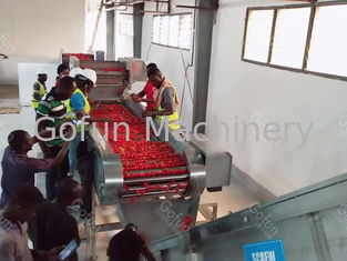 25t/H Sus304 Tomato Processing Line Energy Saving High Efficiency