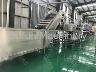 Food Grade SUS304 Tomato Production Line Customized 100T/D