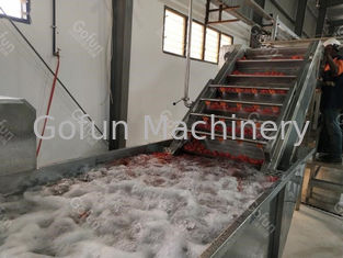 Fresh Tomato Paste Processing Production Line 100T/D High Efficiency Energy Saving