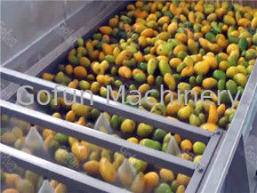100T/D Mango Processing Line SUS304 Mango Juice Processing Machines One Stop Service
