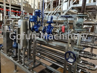 SUS304 / SS316 Mango Pulp Production Line 5 t/h Flexible Operation Support