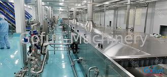 Industrial Mango Processing Line For Mango Juice Jam Stainless Steel machine 5 t/h