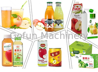SS304 / 316 Apple Juice Processing Machine 10 - 50T/D