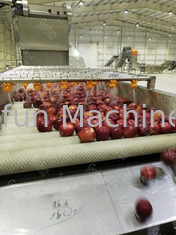 Stainless Steel 316 Apple Juice Processing Line 50Hz With Water Recycle System