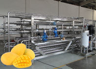 Customized Capacity Fruit Processing Line Stainless Steel Structure CE / ISO