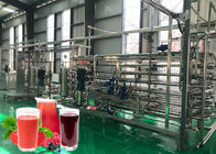 Multifunctional 20T/Day Berry Jam Processing Line
