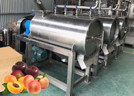 SS 304 Fruit Processing Line Peach Processing Plant Juice Puree Dried