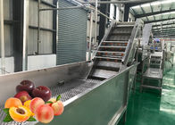 Water Saving Fruit Processing Line Apricot Juice Concentration Safety Control