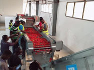SS304 500T/D Industrial Tomato Processing Line Aseptic Bags Packaging