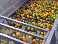 Fully Automatic Concentrated Mango Juice Production Line Water Saving