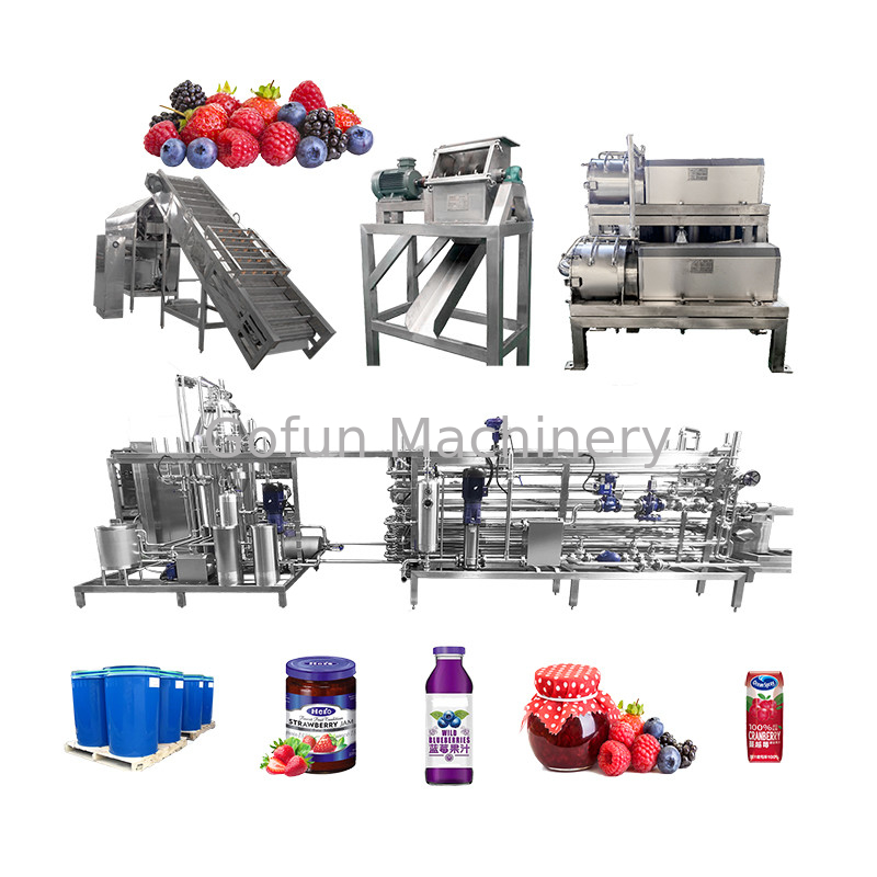 Dried Fruit SUS 304 Berry Processing Equipment 10-100T/D