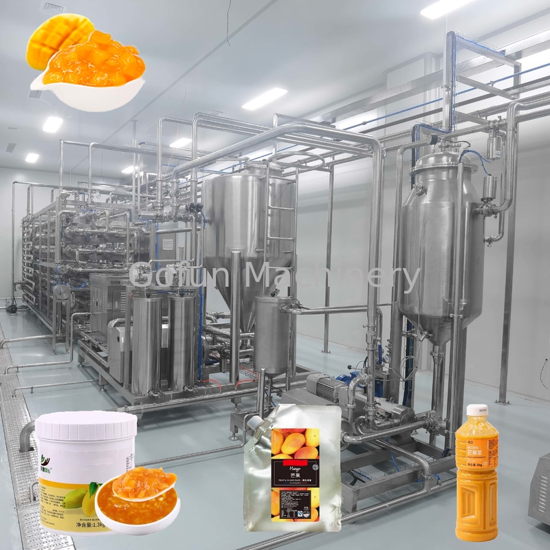 10T/D 304 Stainless Steel Mango Processing Line Aseptic Bag Package