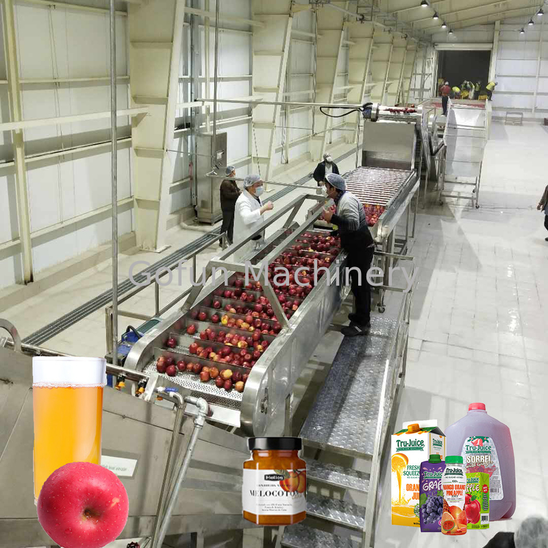 Automatic PLC Controlled Apple Juice Processing Machine 0.5T/H - 30T/H