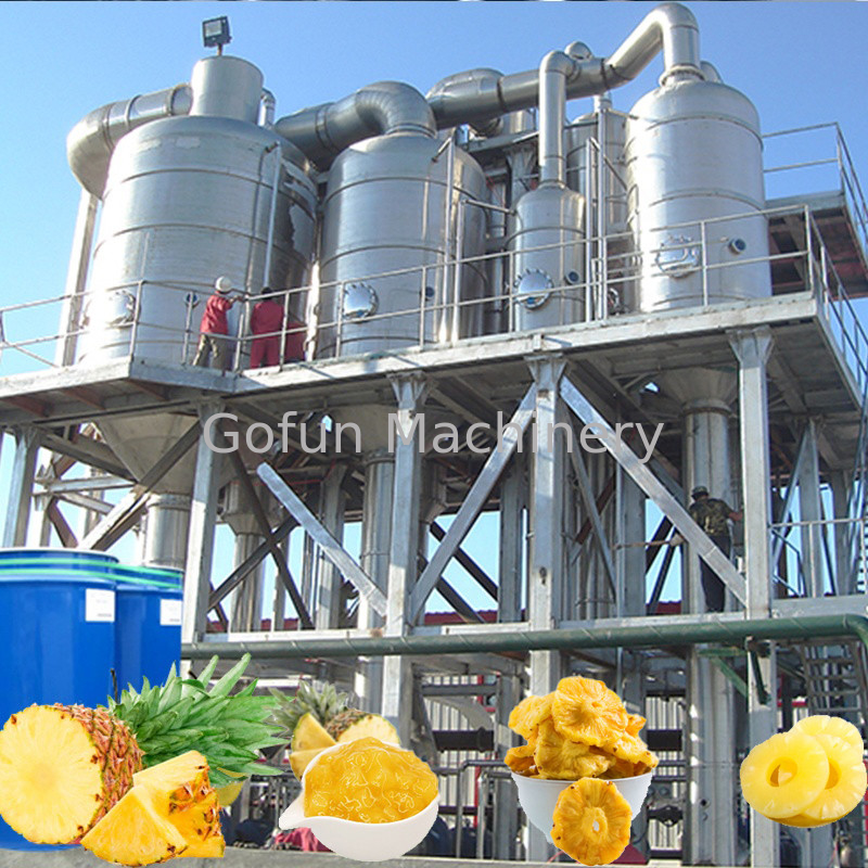 PLC 20T/H 440V Aseptic Bag Pineapple Processing Line