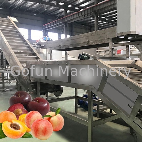 Multiple Use Safety Peach Processing Plant High Extracting Rate 1000 T/Day