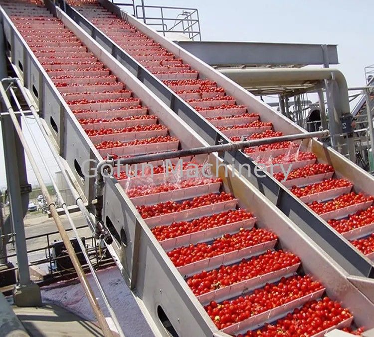 Tomato Processing Customizable Tomato Processing Line Hot Or Cold Crushing Options For ...