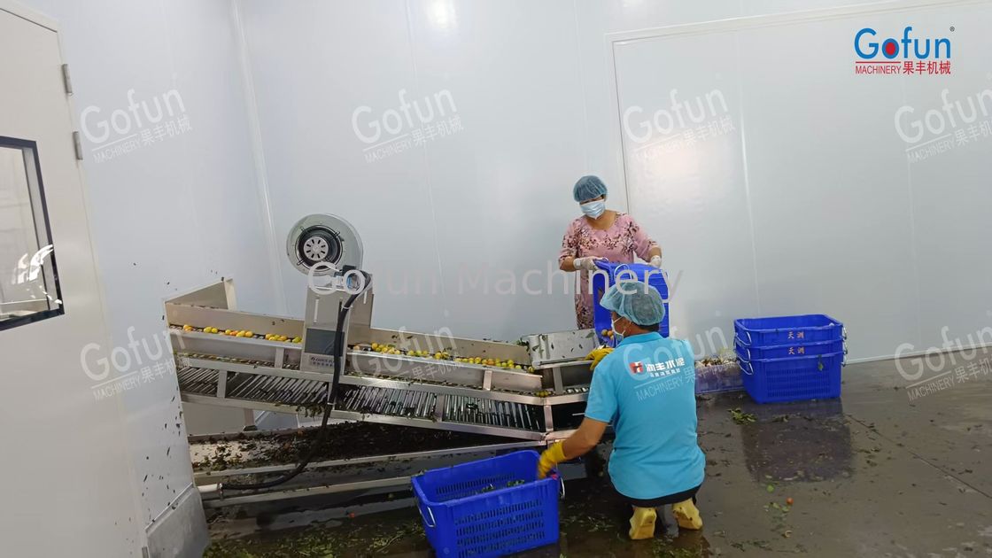 Stainless Steel 304 NFC Juice Puree Production Line Aseptic Filling EU ...