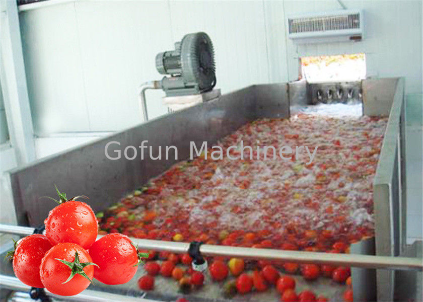 Stainless Steel 380V Vegetable Processing Line Tomato Processing Equipment