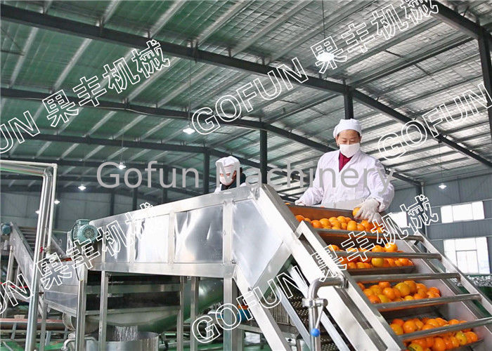 HPP Citrus Processing Line / 440V Lemon Processing Plant Easy Operation