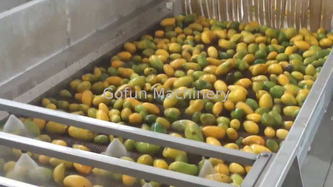 High Effective Small Scale Mango Processing Plant  High Extracting Rate