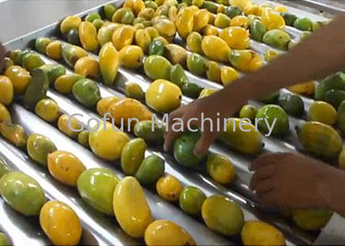 Industrial  20 T/H Mango Processing Line Turnkey Solution ISO9001 Certificate
