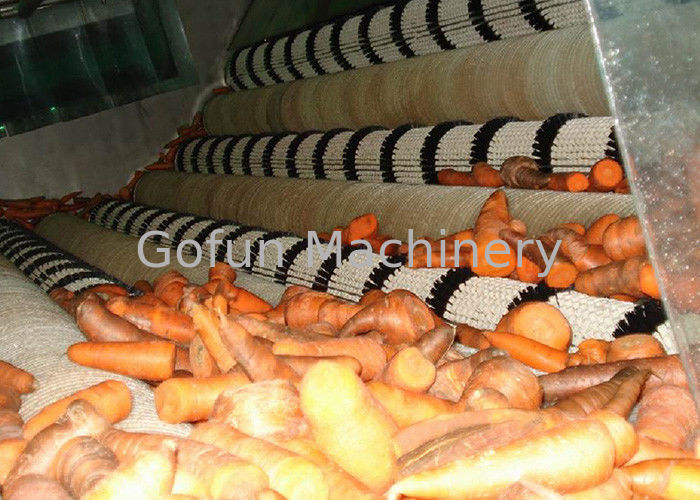 Industrial Carrot Processing Plant  / Stable Carrot Processing Equipment