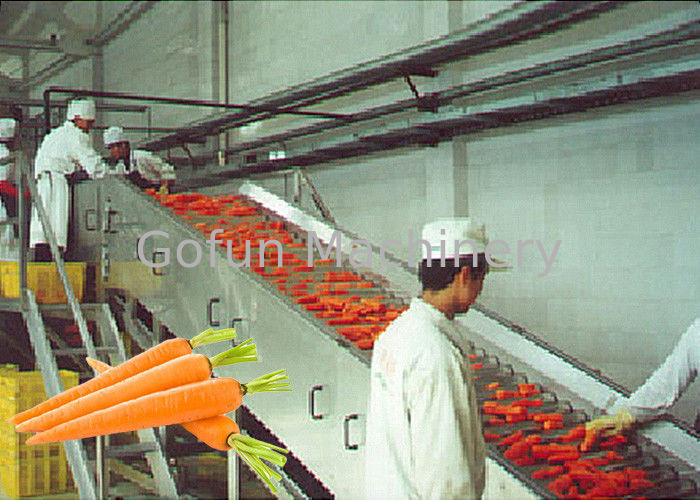 Professional Carrot Processing Plant  / Fruit And Vegetable Processing Equipment