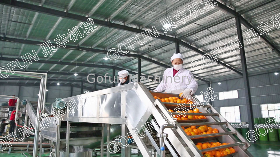 1-100T/D citrus processing line orange lemon juice making machine ...