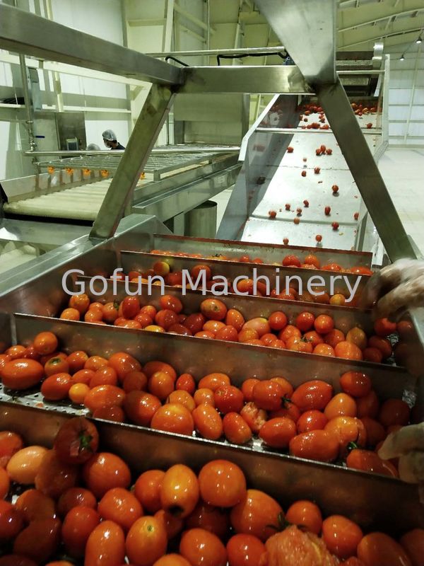 Water Filtering Concentrating Tomato Processing Line